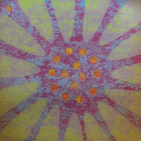 Y2K Belt Buckle with a Daisy Decoration - Picture 2 of 4